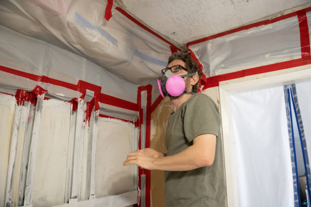 Best Emergency Mold Remediation  in De Witt, NY